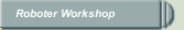 Roboter Workshop